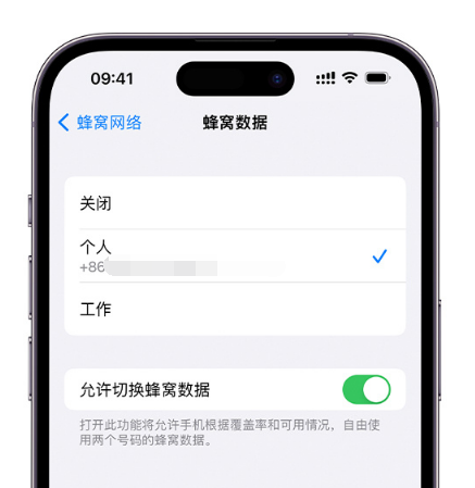 凉山苹果维修服务分享如何在iPhone上使用双卡 